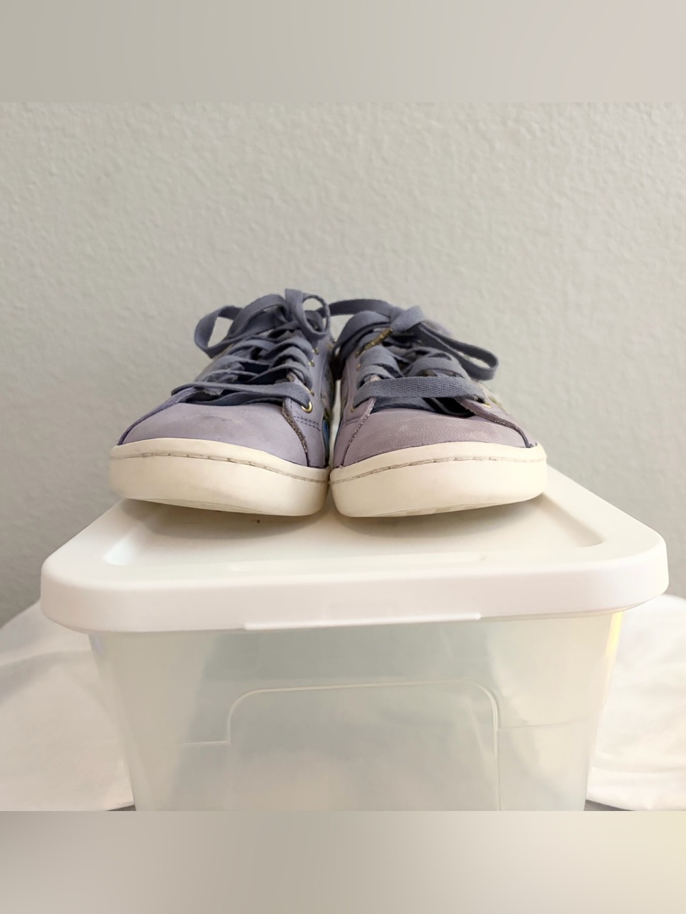 EUC Keds x Rifle Paper Co. Ace Low-Top Leather Sneaker in Botanical/Forever Blue - Picture 9 of 11